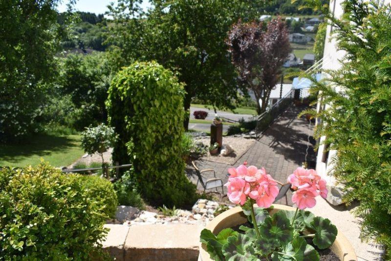 Ferienwohnung Zum Harpelstein Horath Dış mekan fotoğraf